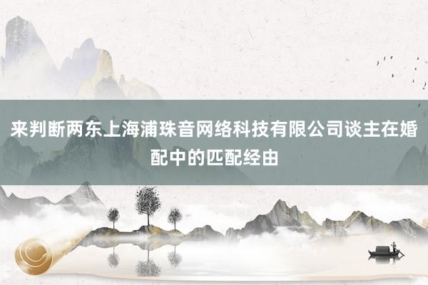 来判断两东上海浦珠音网络科技有限公司谈主在婚配中的匹配经由