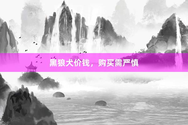 黑狼犬价钱，购买需严慎