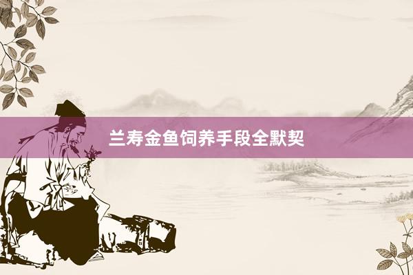 兰寿金鱼饲养手段全默契