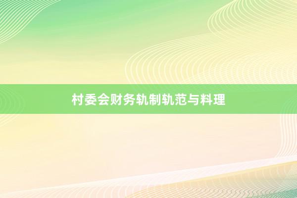 村委会财务轨制轨范与料理